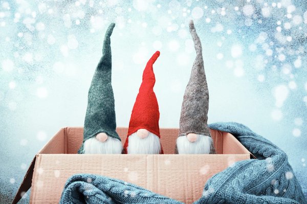 Adoption d'un lutin farceur : conseils et astuces pour des fêtes complices