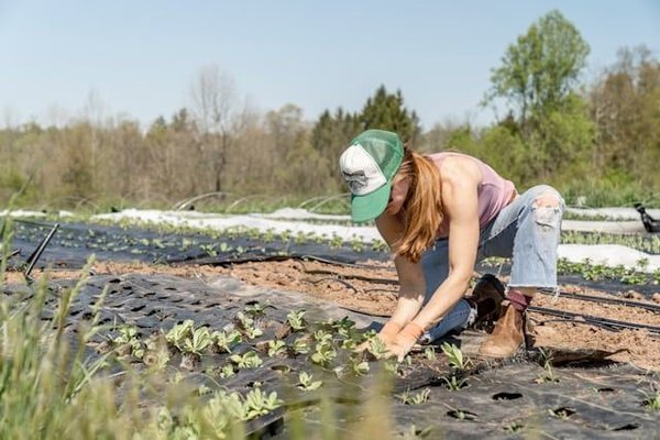 Quels sont les bienfaits du jardinage thérapeutique pour la santé mentale des femmes ?